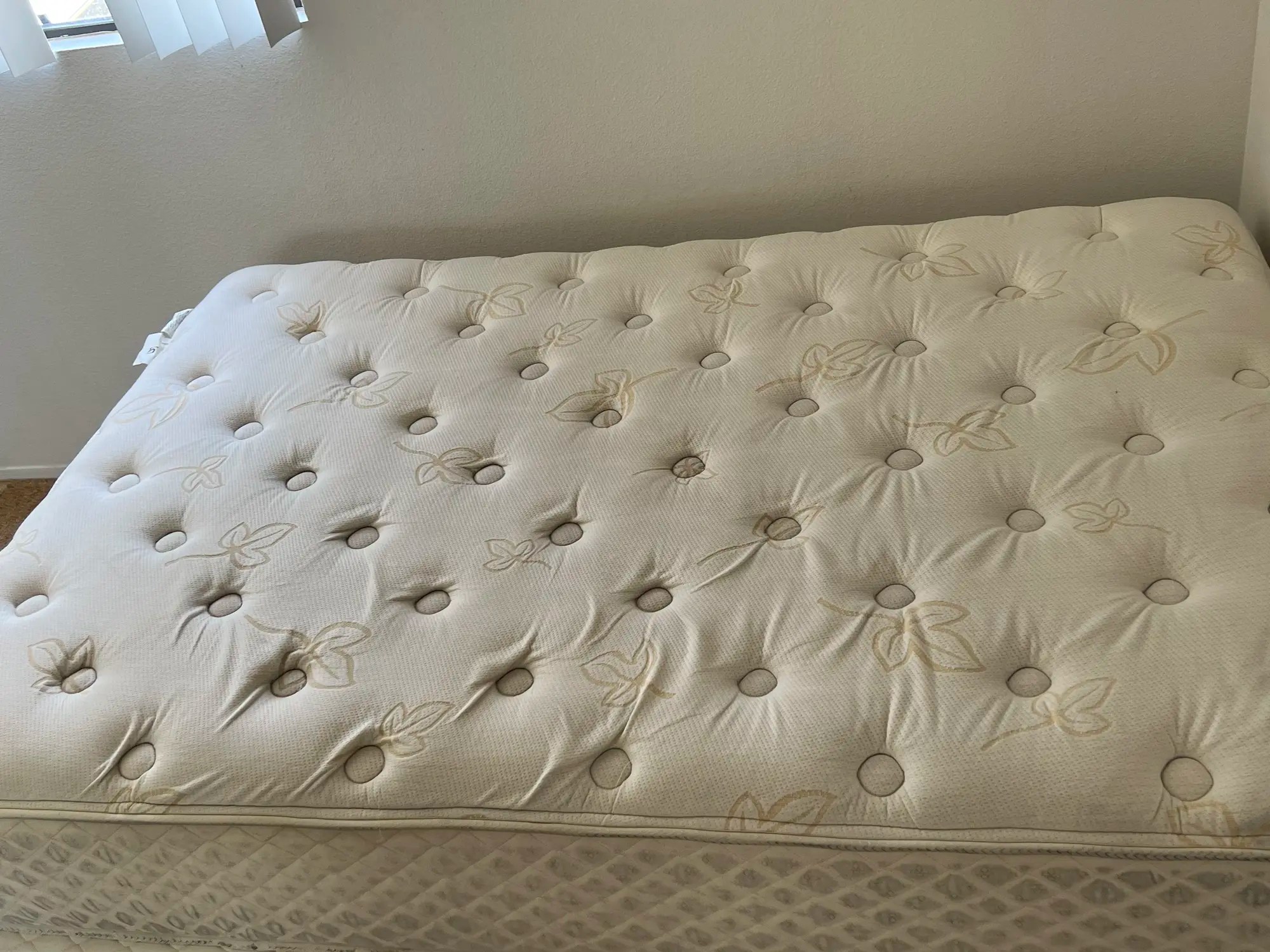 Sanitized and stain-free mattress following deep steam extraction and deodorization
