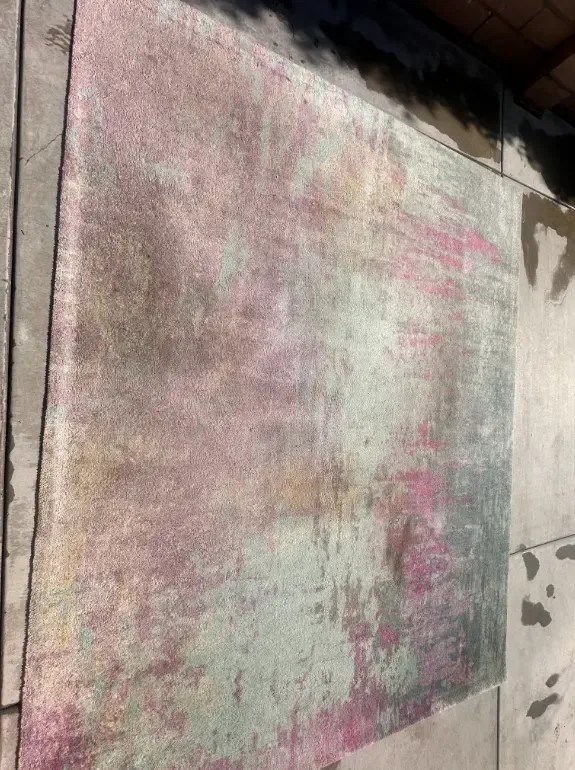 Rug case study before
