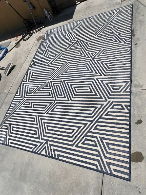 Rug case study
