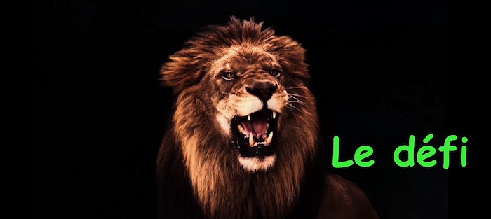 Lion rugissant sur fond noir, symbole de la formation EPR
