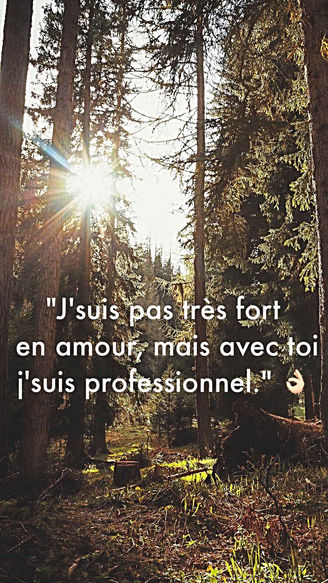 J Suis Pas Tres Fort En Amour Mais Avec Toi Je Suis Professionnel Citations Et Proverbes Retrouver De Nombreuses Citations Proverbes