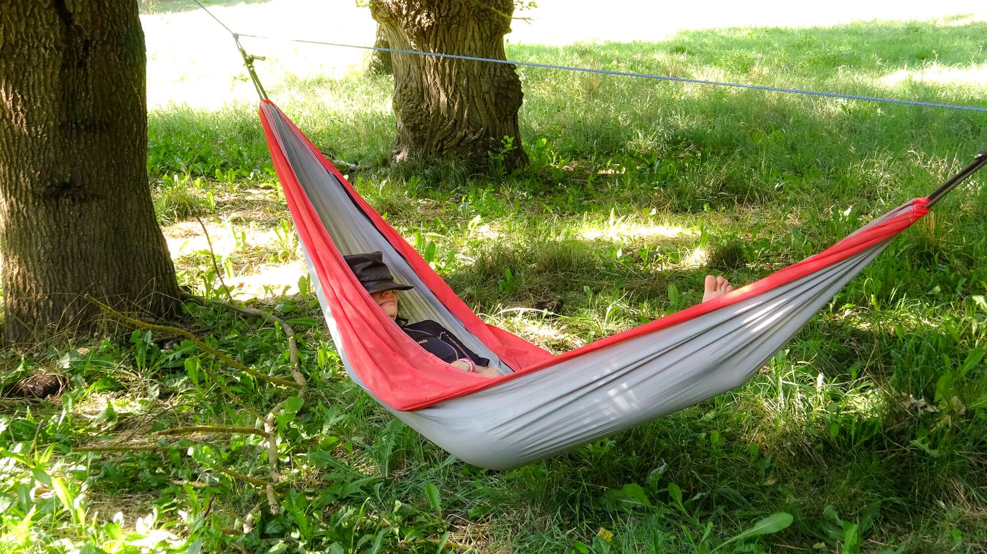 Pourquoi Ne Pas Faire La Sieste Sous Un Figuier La sieste : plaidoyer pour un droit universel - Une vie en vrai