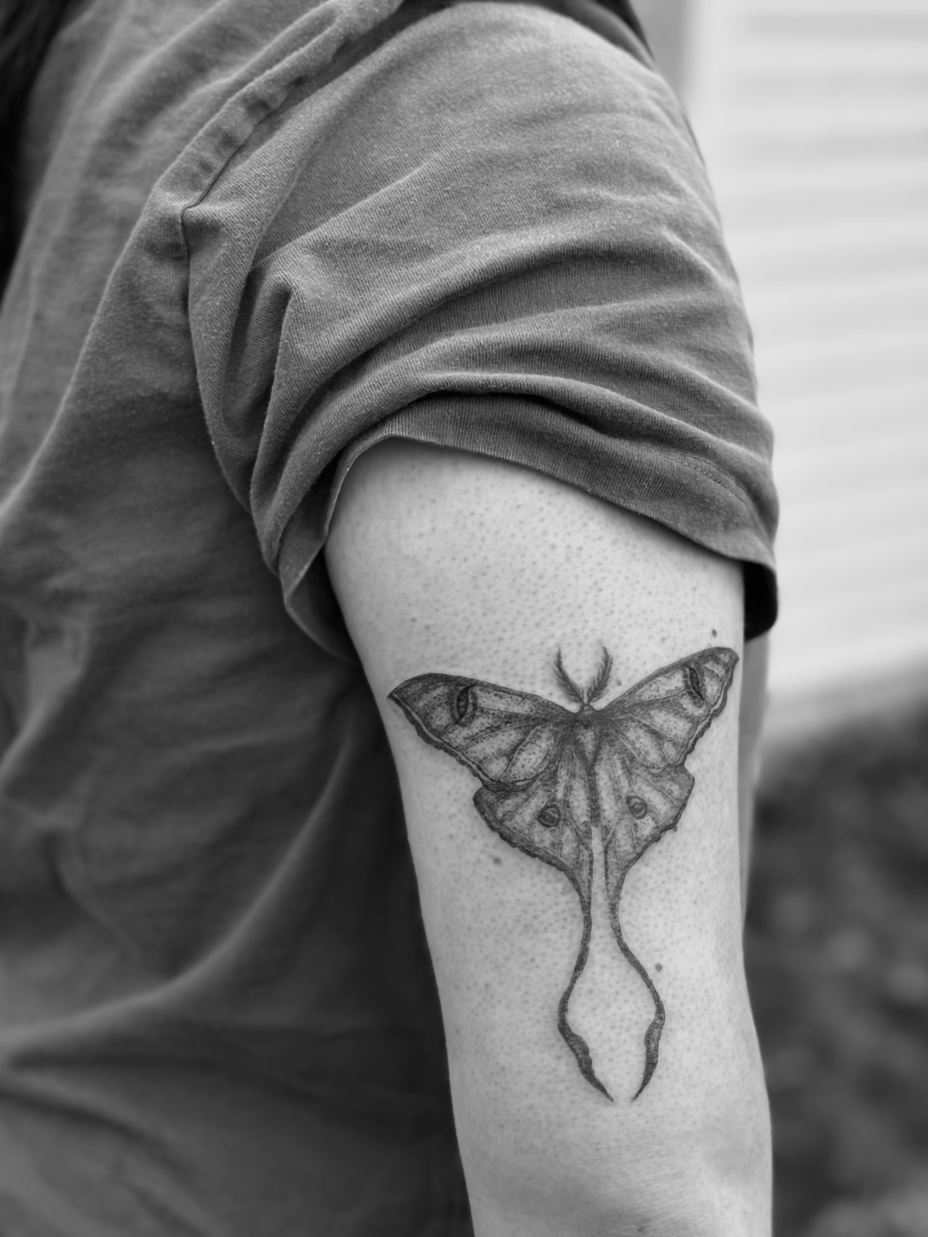 Moth tattoo on arm