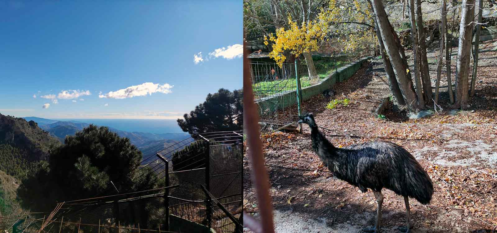 Peña Escrita