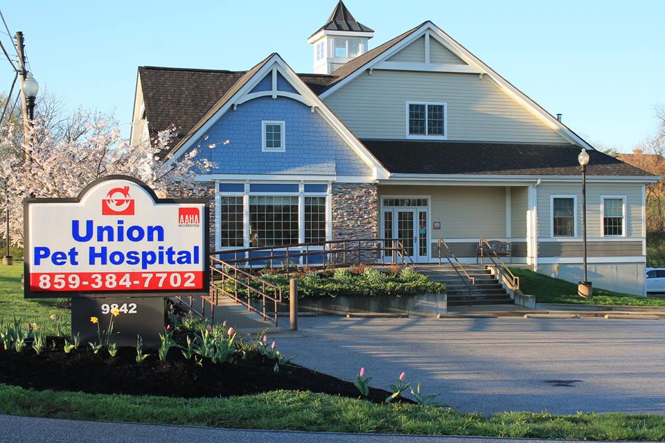 Union pet hospital
