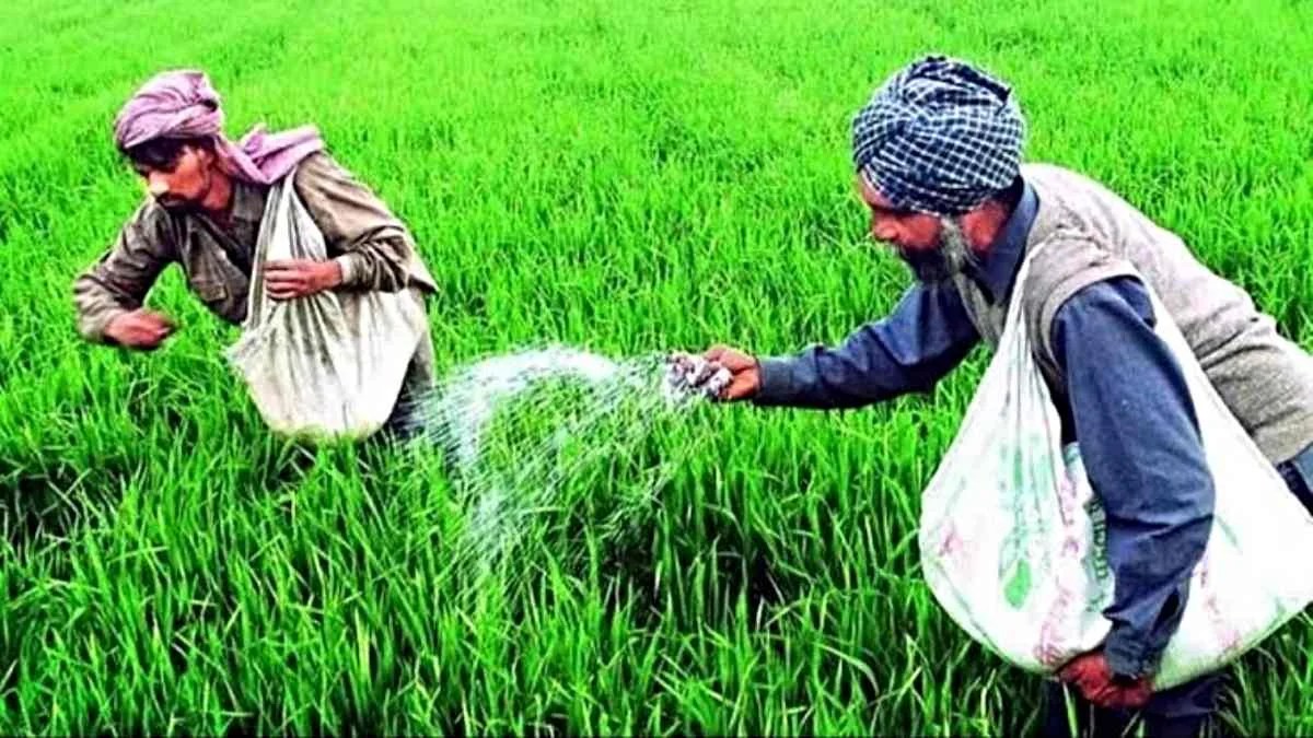 नए साल पर मोदी सरकार का तोहफा, किसानों को सस्ता डीएपी खाद उपलब्ध कराने का निर्णय…