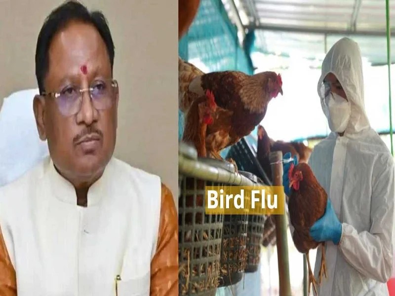 बर्ड फ्लू की रोकथाम के तहत CM ने दिया आदेश
