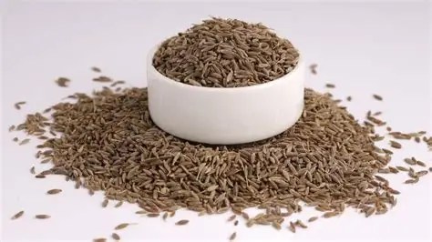 जीरा असली या मिलावटी? FSSAI के आसान टिप्स से करें पहचान
