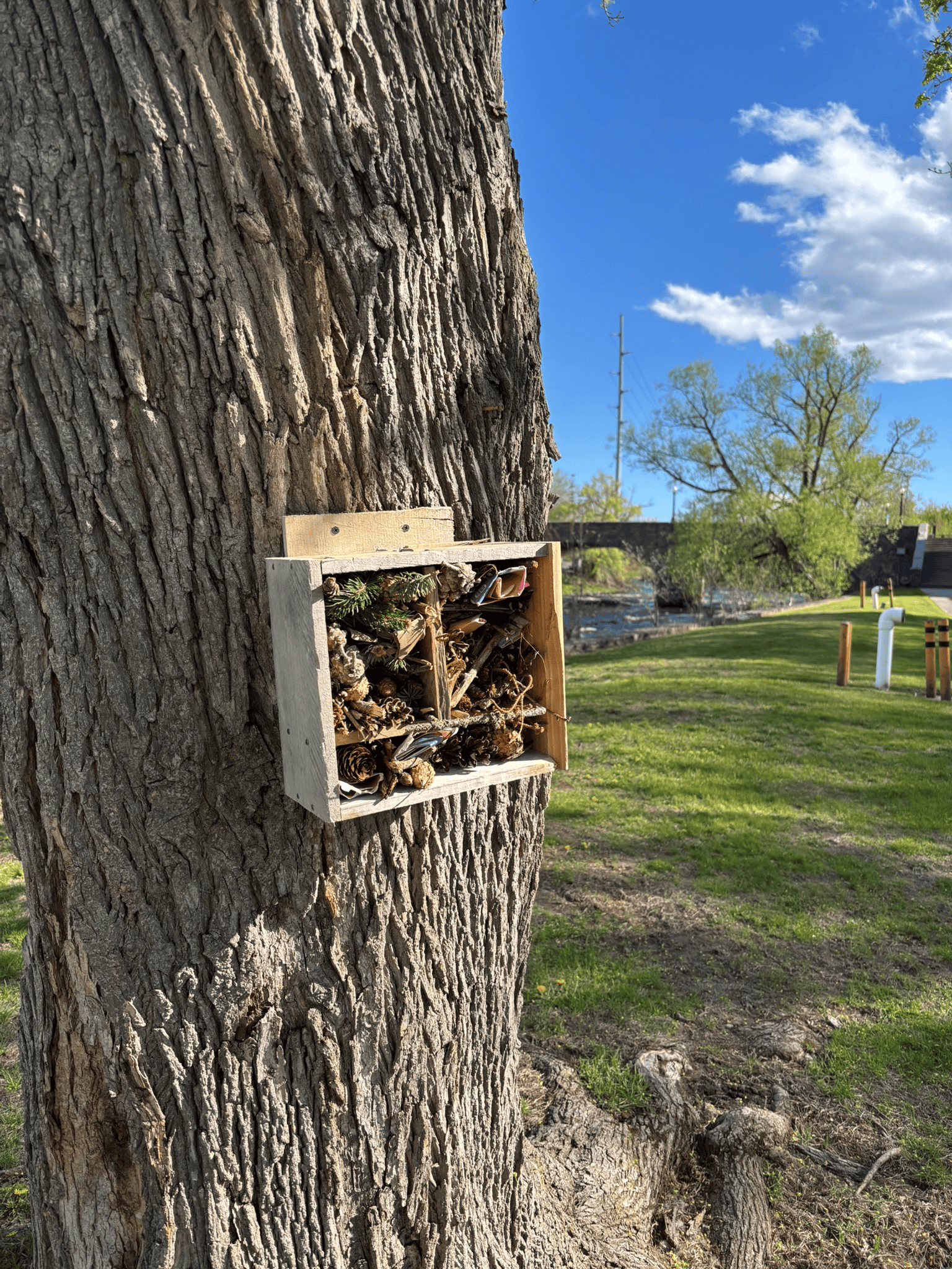 bug box