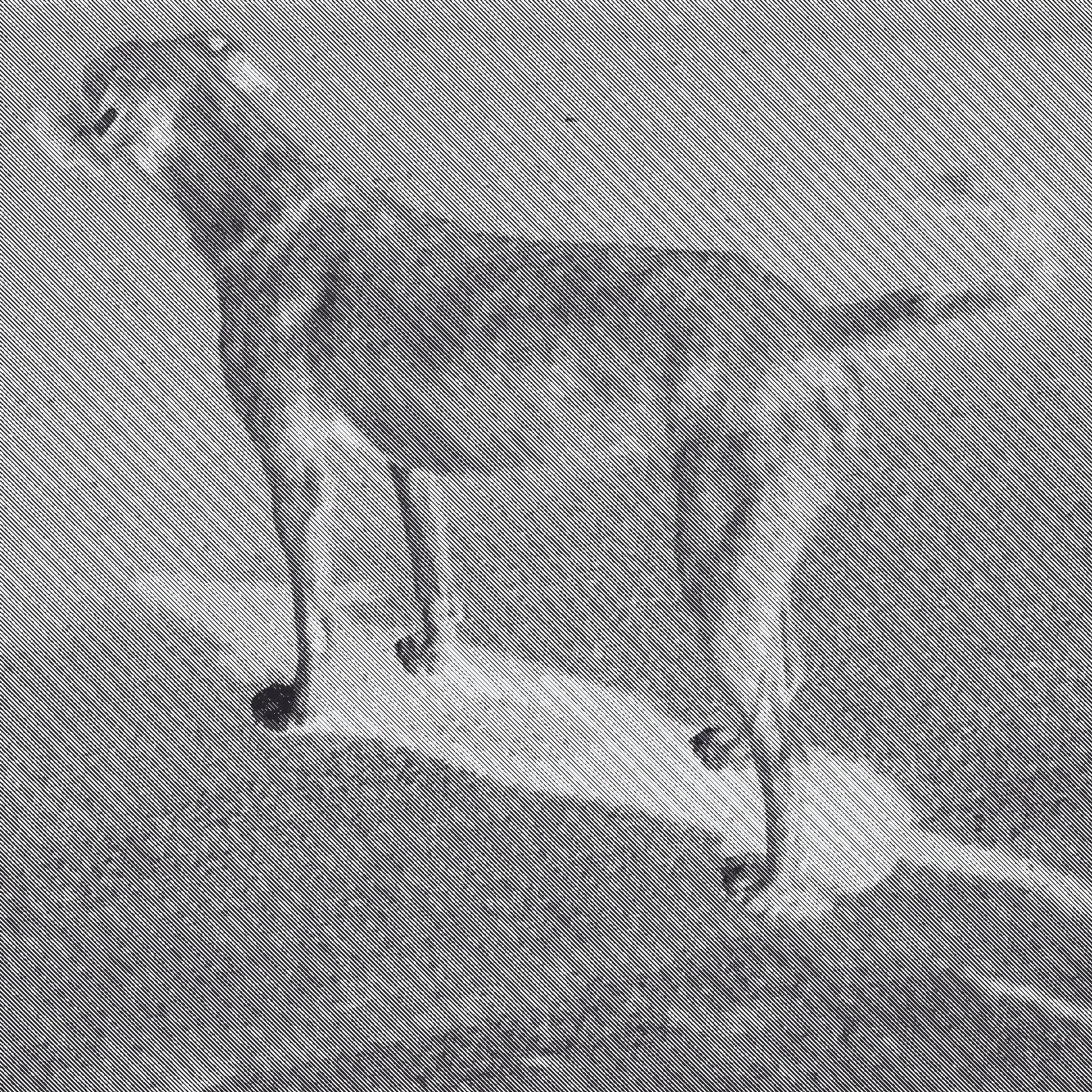 Herhangi Bir Ahmet, “2018’deki Köpek”, Fotoğraf, Yarı ton dijital baskı, Cam, 70×70 cm, 2025