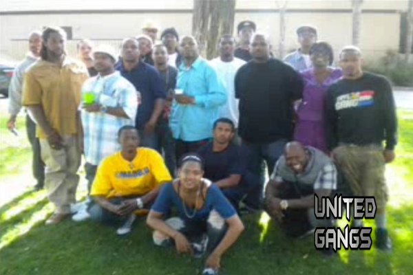 O Hood Crips