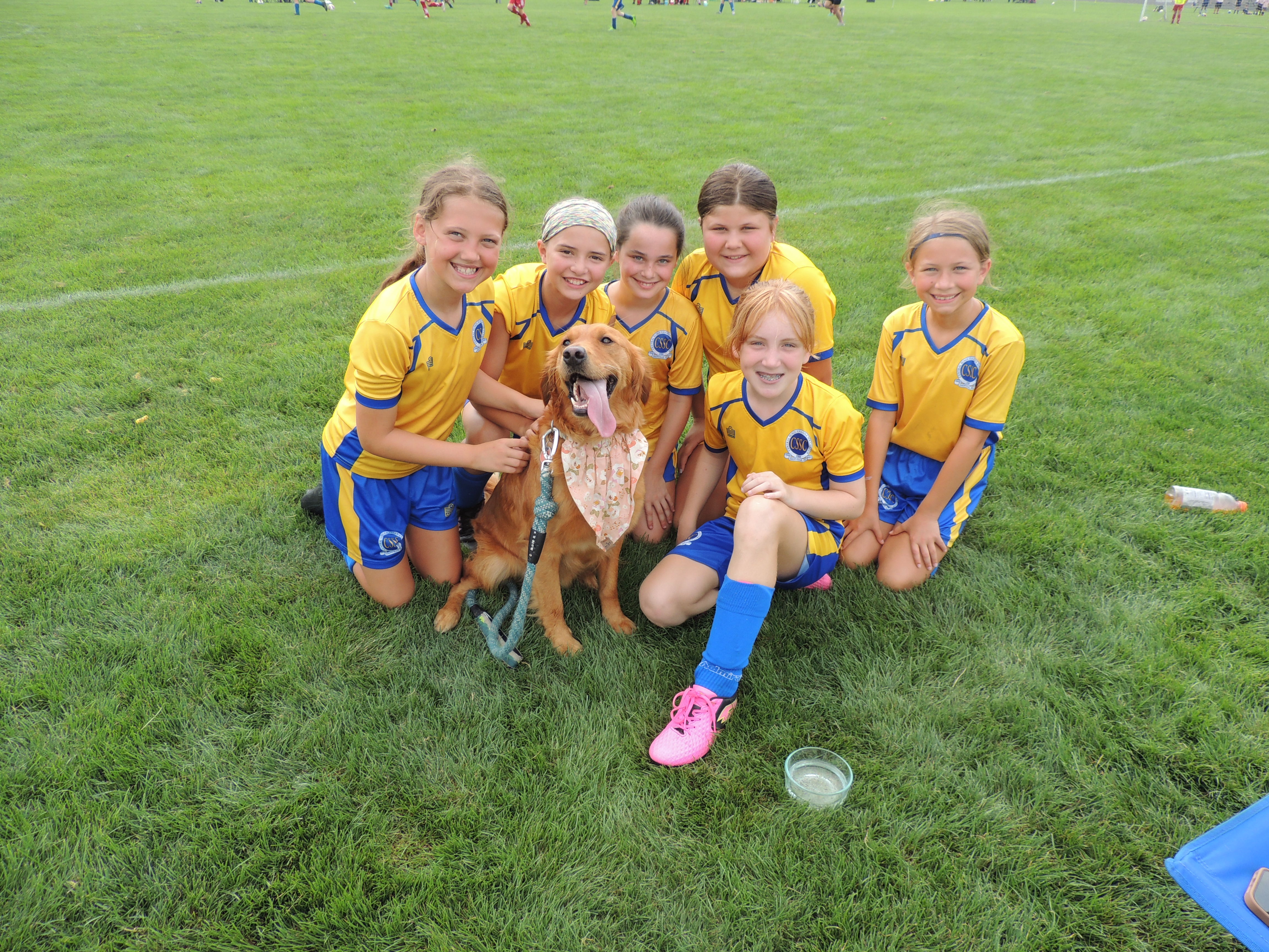 2027 Kicks 4 Canines North Carolina event photo 1