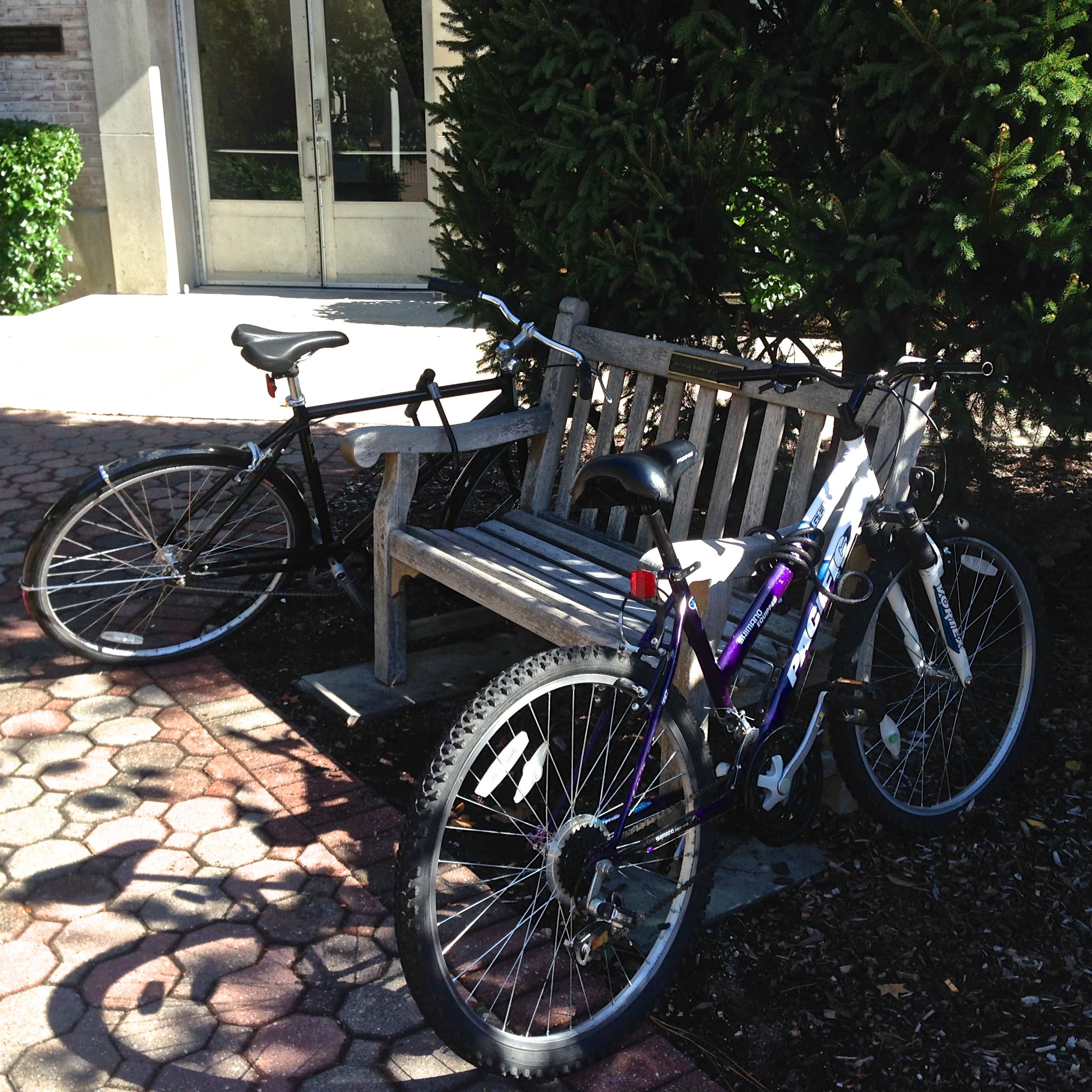 Bikes parked on bench