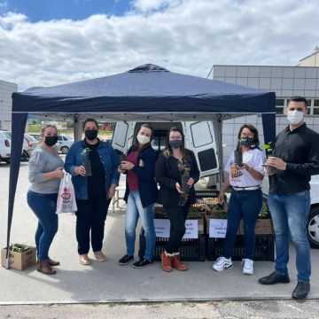 Ação Mudas Solidárias arrecada 60kg de alimentos em Gravatal Ação Mudas Solidárias arrecada 60kg de alimentos em Gravatal
