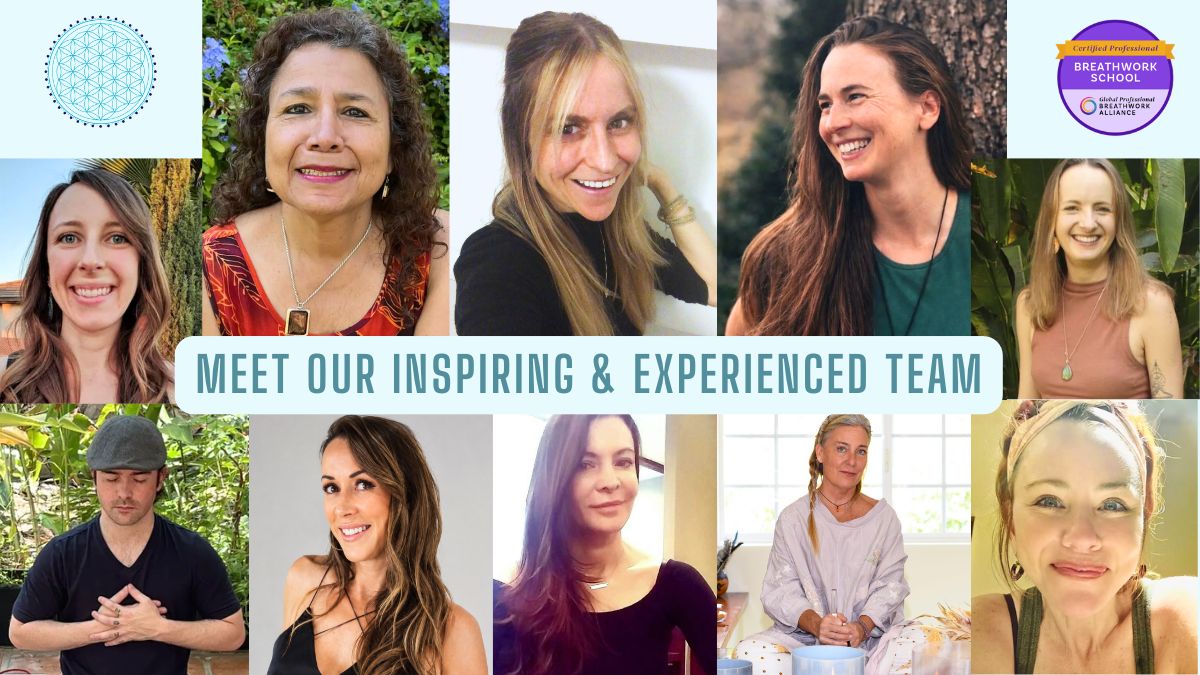 Collage of twelve team members with a banner reading Meet Our Inspiring & Experienced Team.