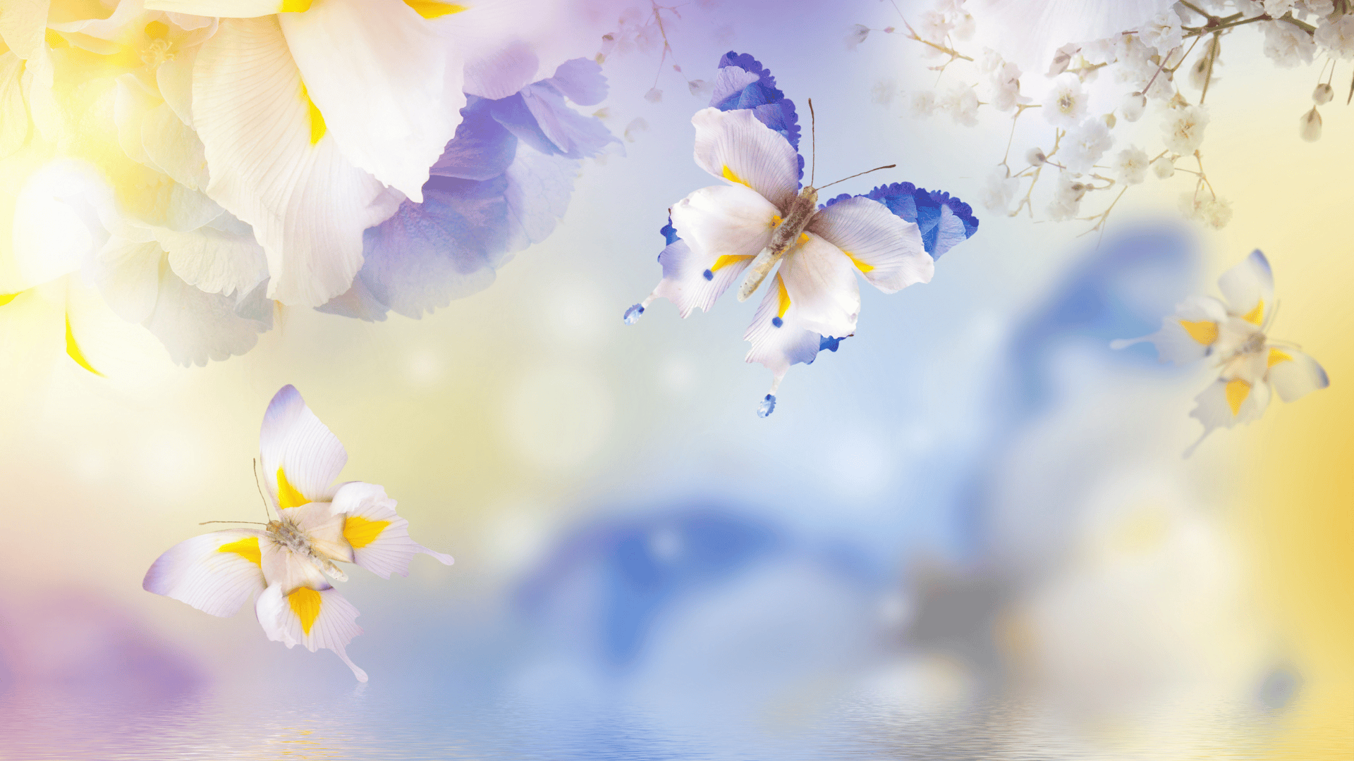Spiritual Freedom