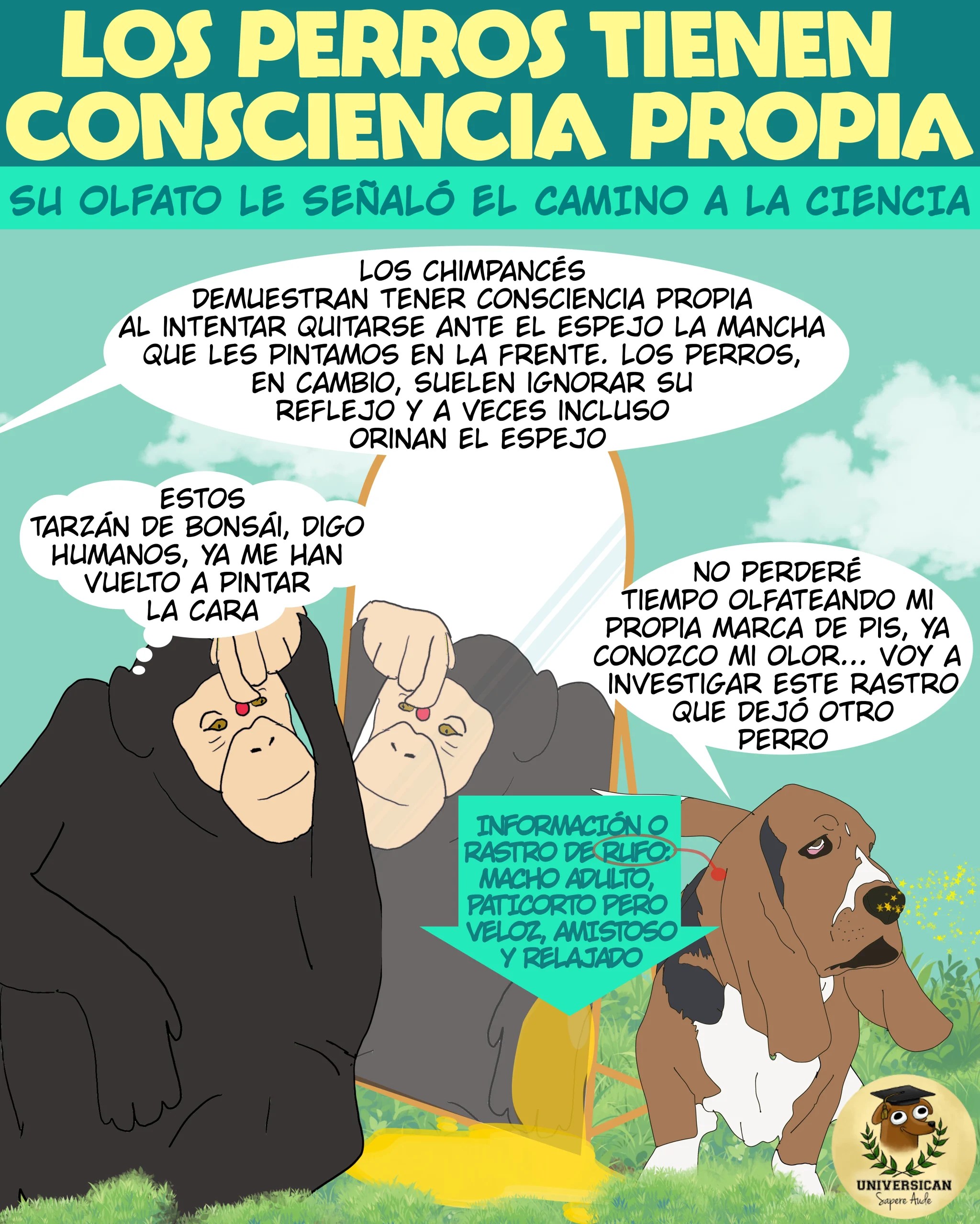 Cómic educativo sobre etología canina.