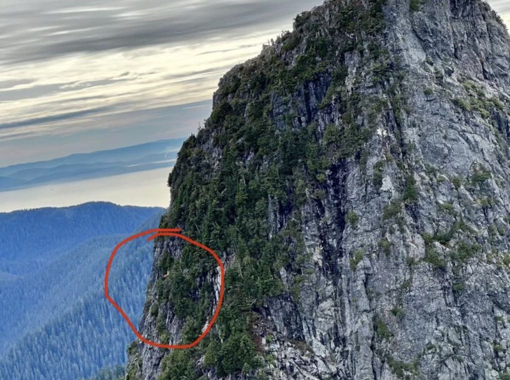 Shrubs miraculously save a climber from a substantial fall.