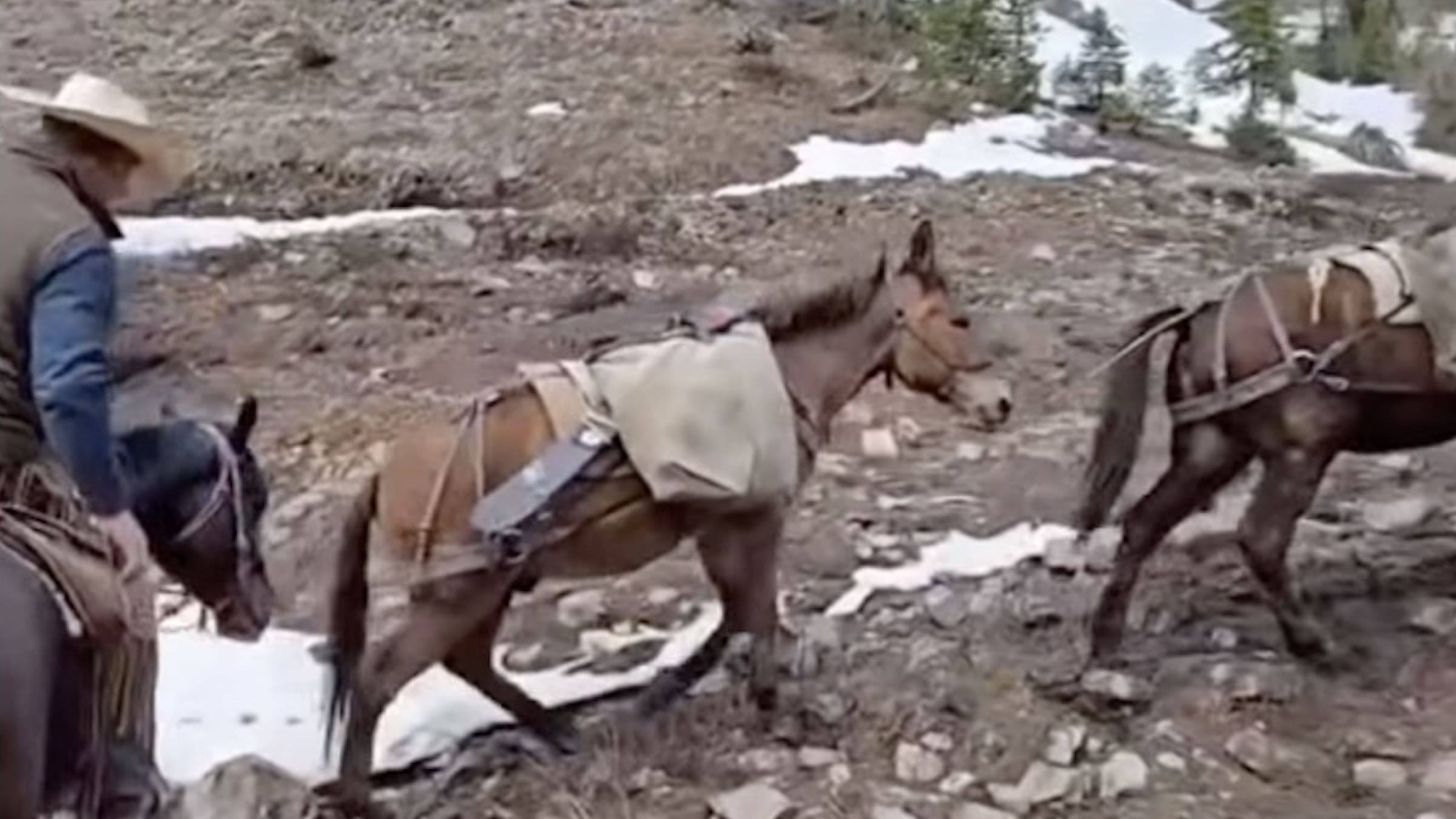 Backcountry snowboarding by horseback in Wyoming.
