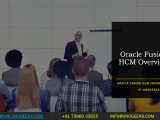 Oracle Fusion Hcm Overview