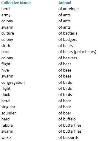 Iron, gold, platinum, silver, diamond, dan lain . English Grammar Noun Notes And Questions