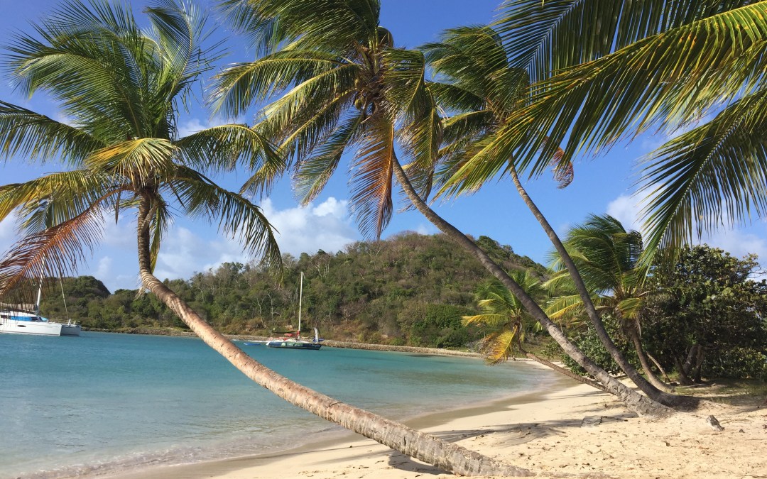 Salt Whistle Bay – Mayreau