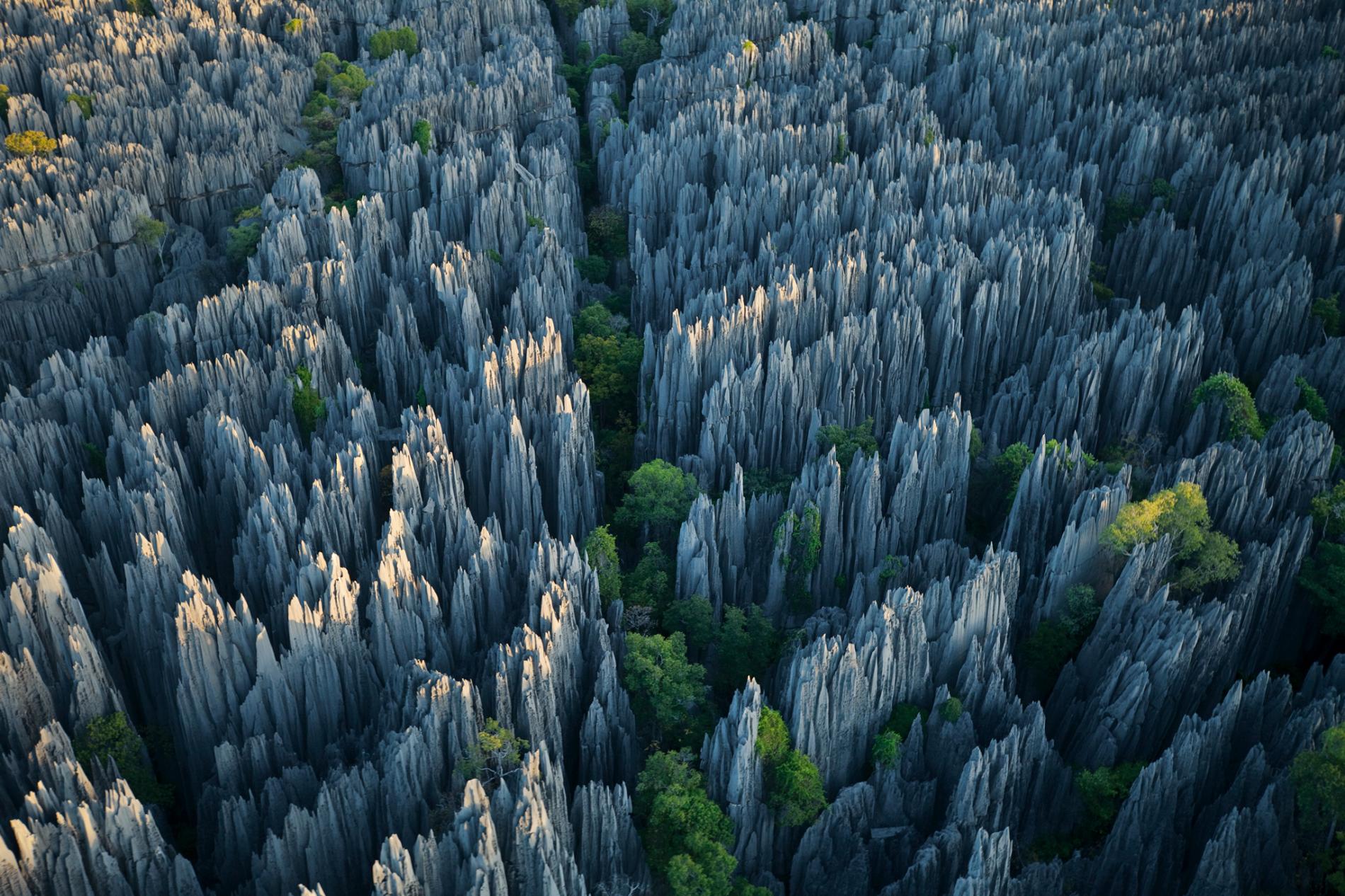 stone forest