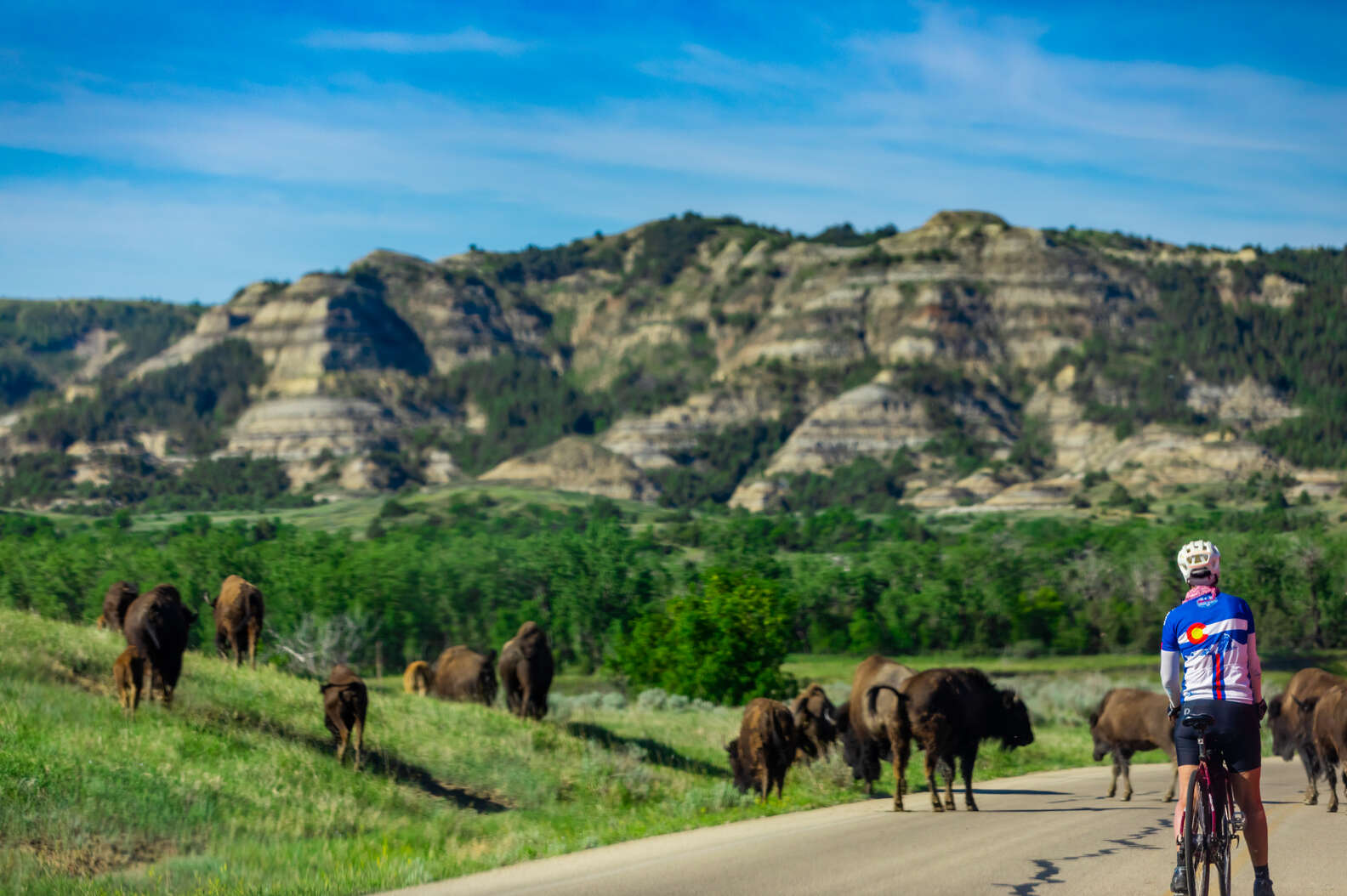 Theodore Roosevelt National Park