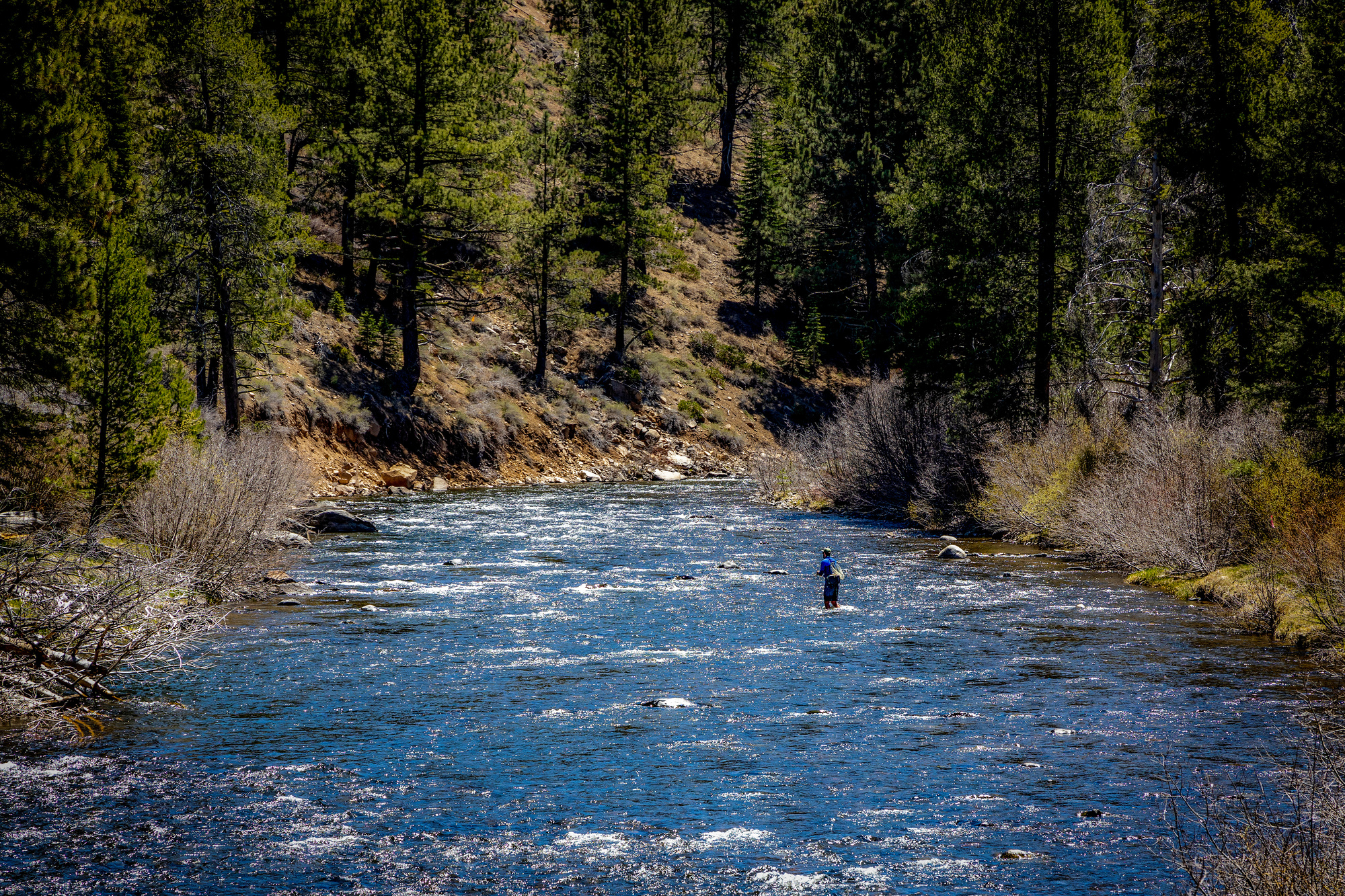 Fly fishing