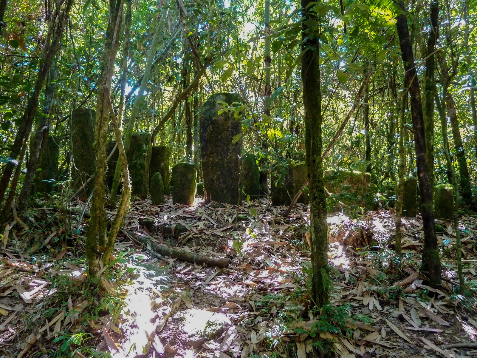The park is home to old burial sites of the local people, marked with stone slab tombs. Photo: User:Hardscarf