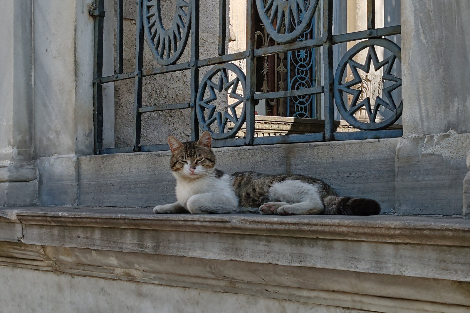 Istambul cat3