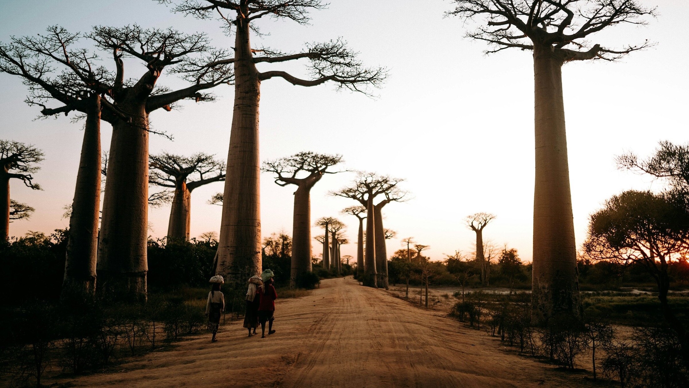 Madagascar
