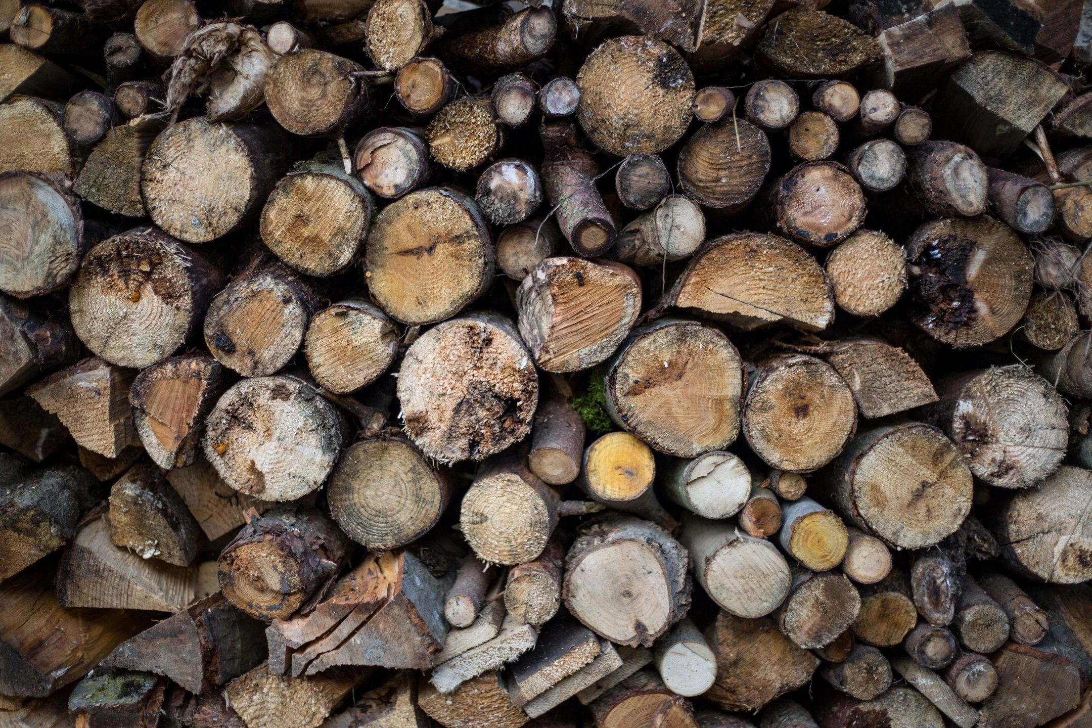 Description of Rose Wood , Functional use of Rose Wood