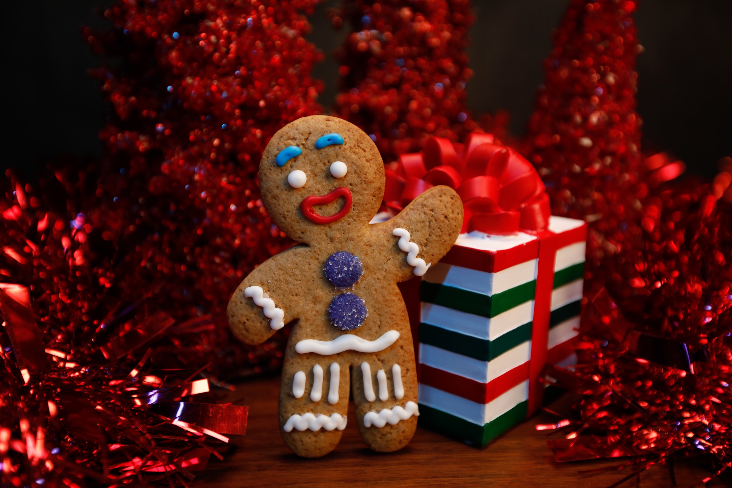 00_gingerbread-cookie.jpg?fit=