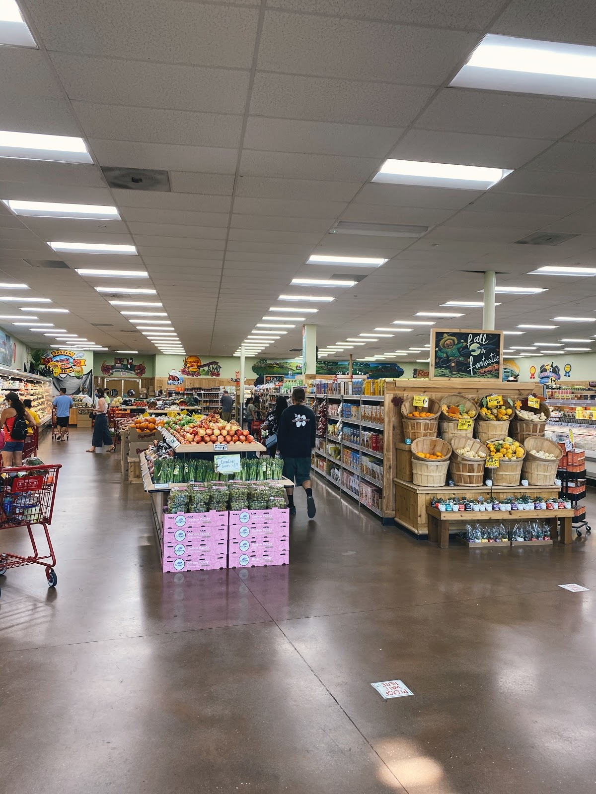 The Trader Joe's effect – USD Student Media, image size:1200x1600