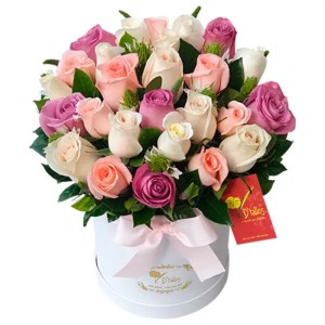 24 Rosas de colores