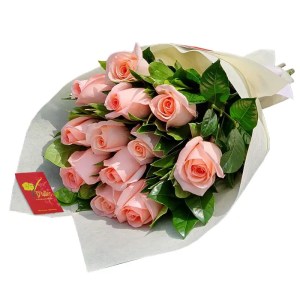 12 rosas rosadas