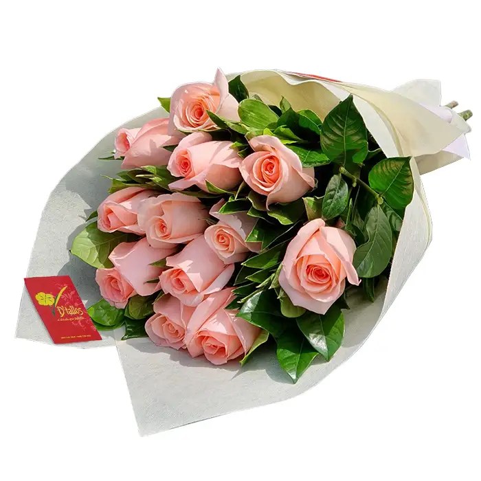 12 rosas rosadas