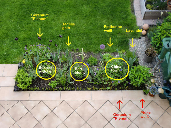 Gartenfreunde Pfalz Saar Baden Mai Juni Page 3 Mein Schoner Garten Forum