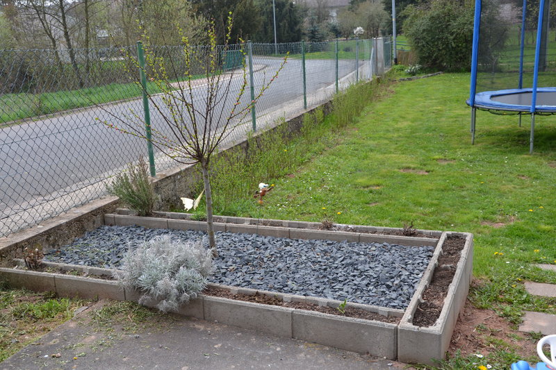 Hundeklo Hygienische Toilette Fur Ihren Hund Info Hund De