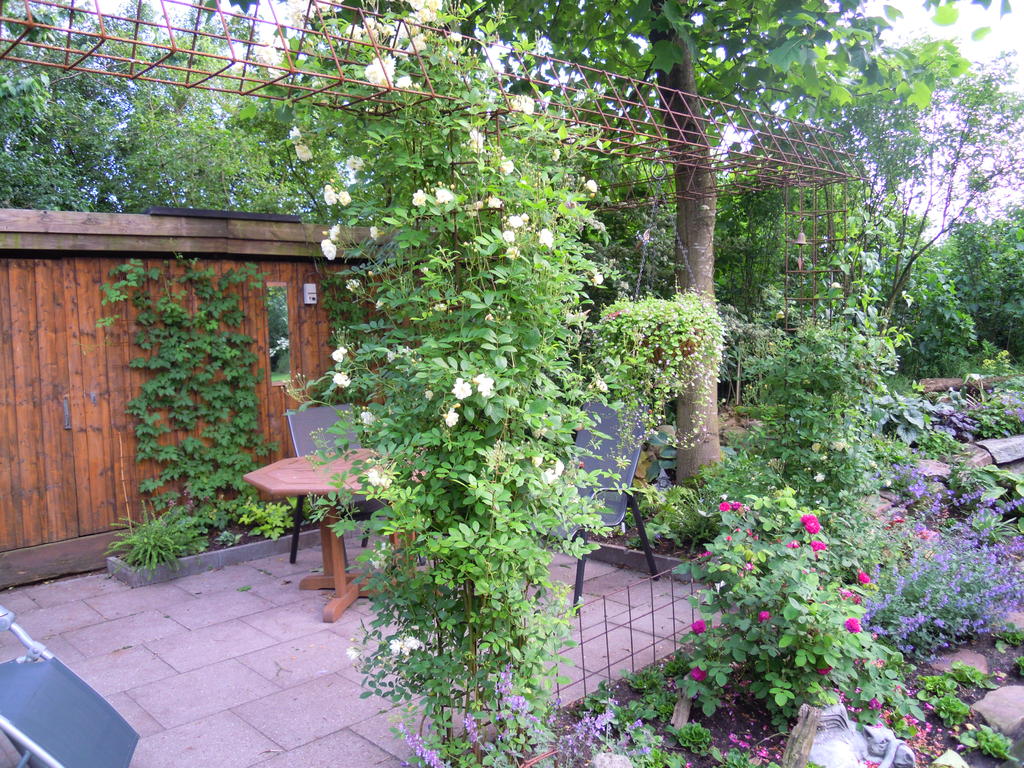 Gartenzaun Aus Holz Oder Metall Das Haus