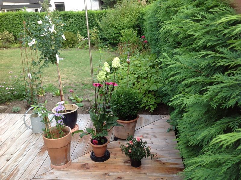 Fur Unsere Deutschen Kunden Heute Haben Tuincentrum Oosterik Facebook