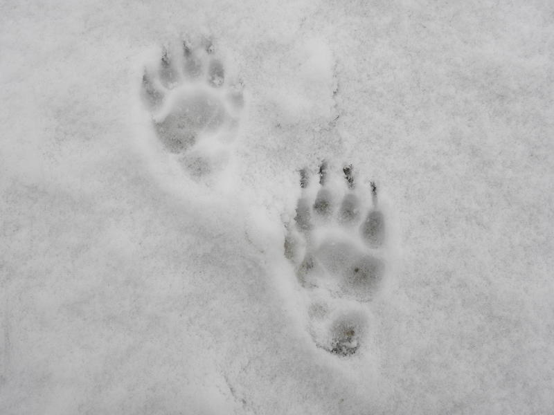 Gc5eht3 18 Turchen Spuren Im Schnee Unknown Cache In Nordrhein Westfalen Germany Created By Fat Red