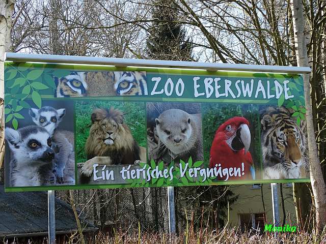 Foto Zoo Eberswalde Bilder Von Allgemeine Naturaufnahmen Turus Net Magazin