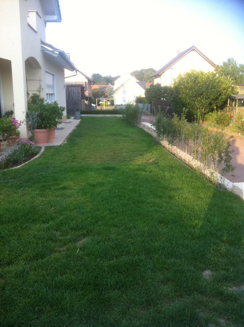 Schmale Garten Gestalten Ideen Fur Den Kleinen Aussenbereich