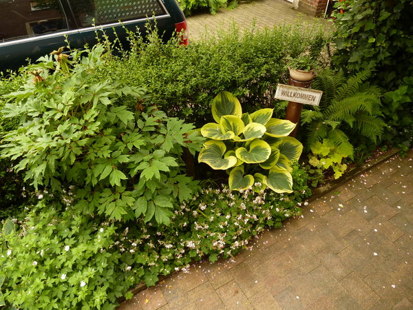 Garten Ohne Rasen Ich Habs Getan Mein Schoner Garten Forum Kleiner Hinterhof Design Garten Gartengestaltung