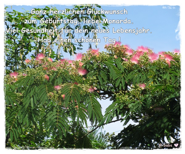 Clerotiker Ab 2020 Rosen Und Clematis Mein Schoner Garten Forum