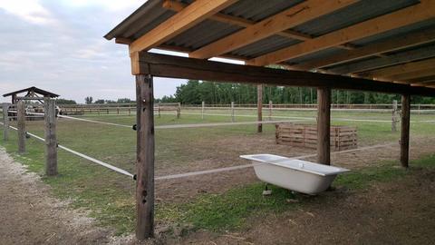 Heuraufe Mit Dach Fur Pferde Oder Pony