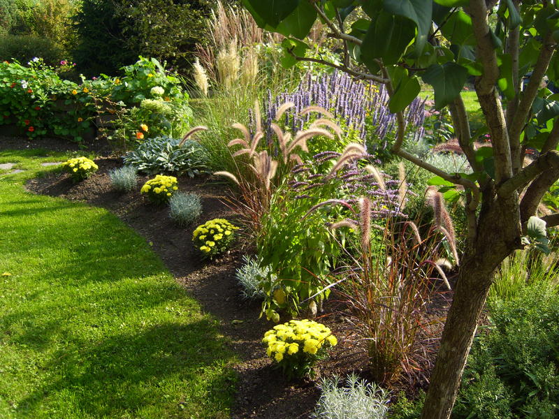 Minigartchen Gartenvorstellungen Sortiert Seite 8 Gartengestaltung Mein Schoner Garten Online Gartengestaltung Garten Gestalten Garten