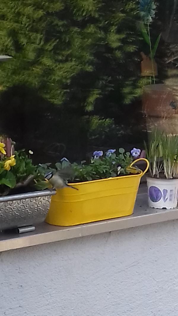 Gartenfiguren Skulpturen Gnom Art 1526 Gartenverzierungen Troll Gartenfigur Garten Terrasse Hsdsonline Com